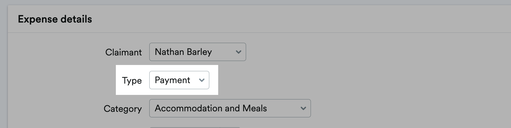 Expense detail section with Payment selected as type.