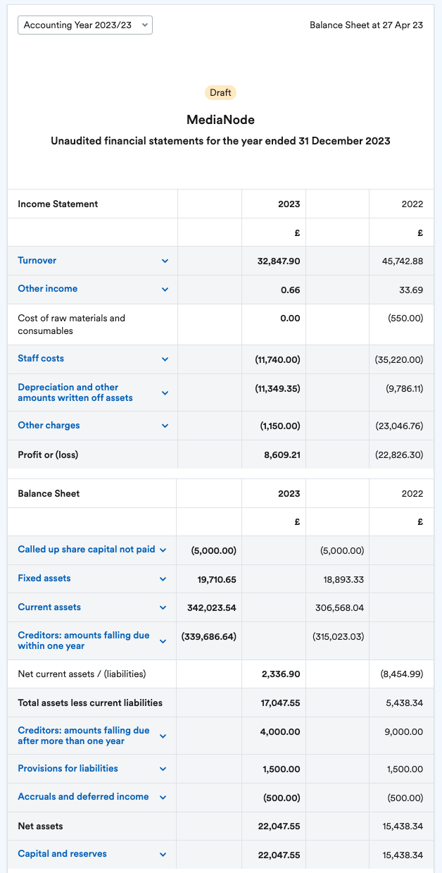 Draft version of example report showing Income Statement and Balance Sheet..