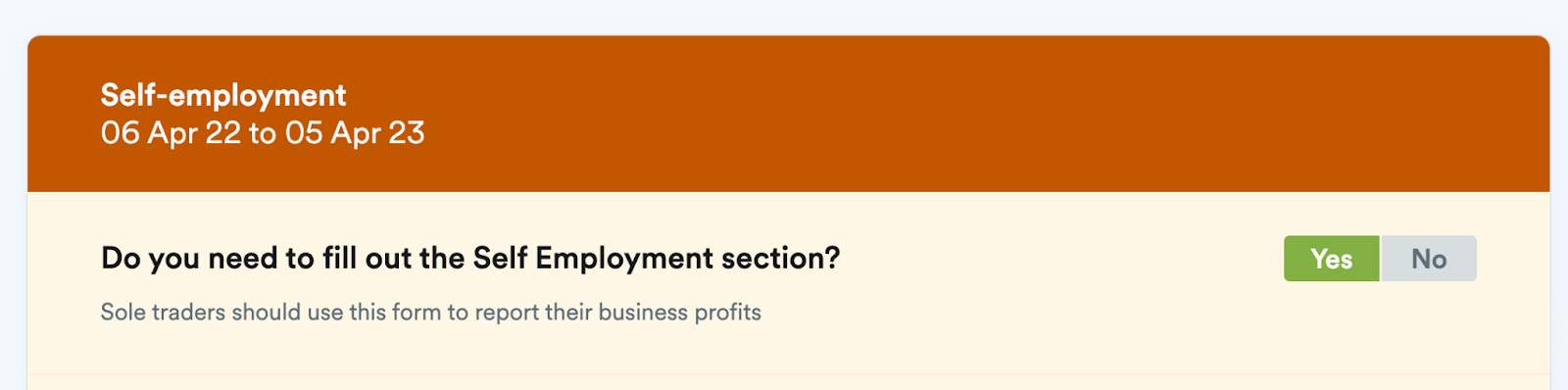 Option to complete self-employment section
