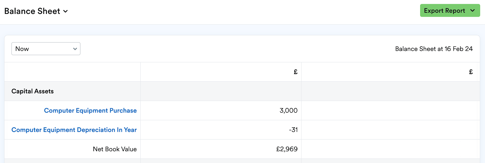 Capital asset purchase showing in balance sheet report