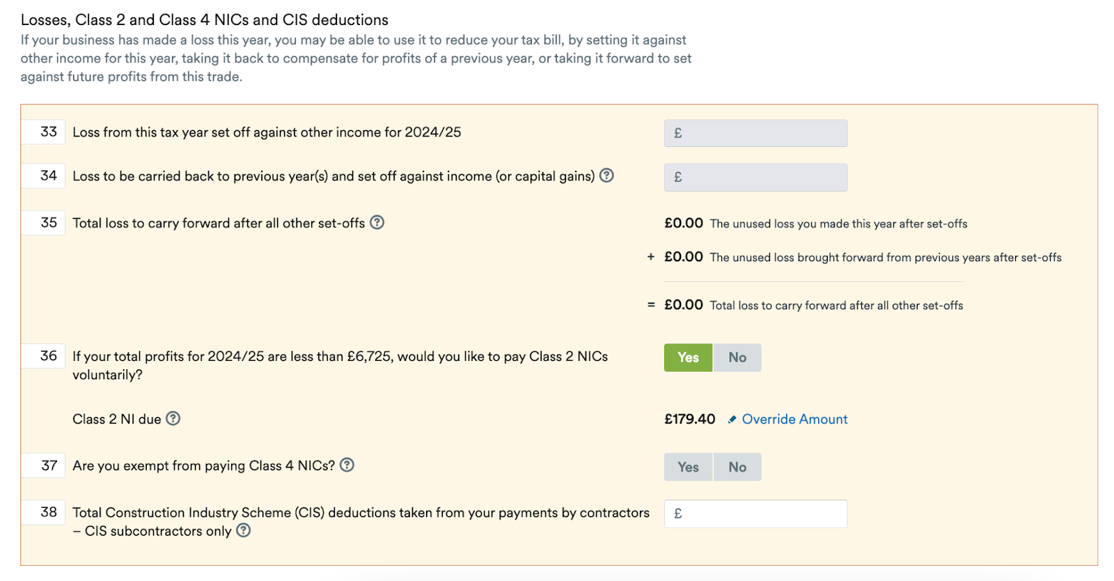 Losses, class two and four national insurance contributions and CIS deductions boxes