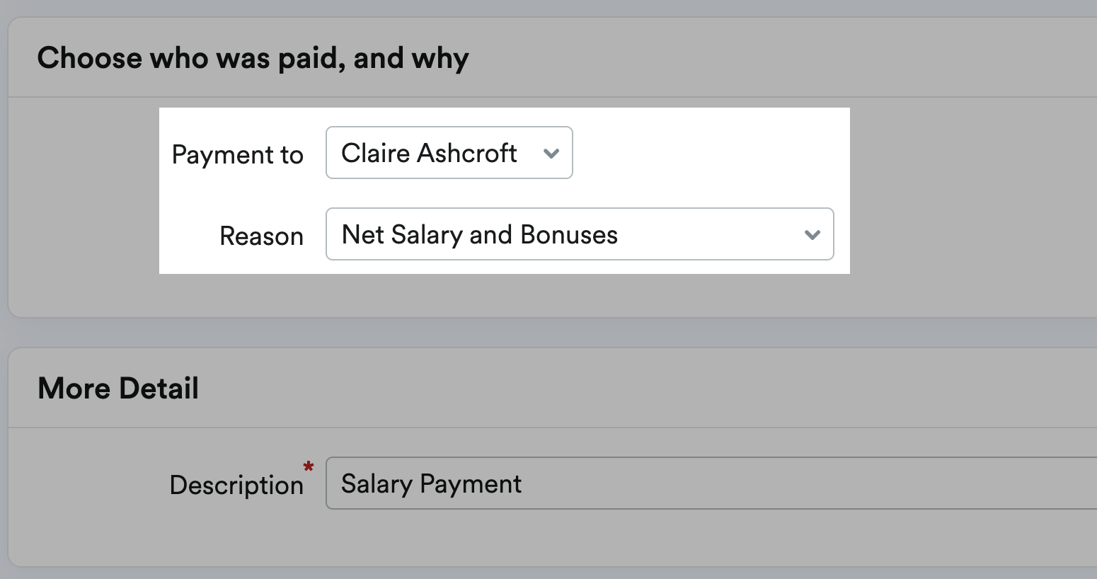 Employee selected from payment to drop-down menu and Net Salary and Bonuses selected from the Reason drop-down menu