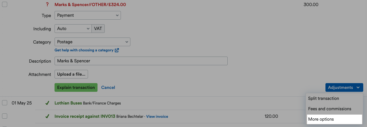 ‘More options’ highlighted on ‘Adjustments’ drop down menu.
