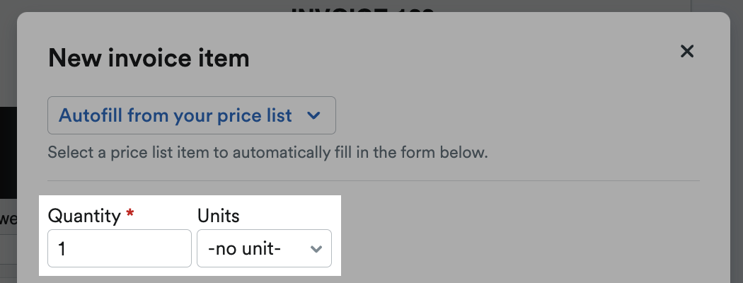 '-no unit-' selected as unit for New Invoice Item.