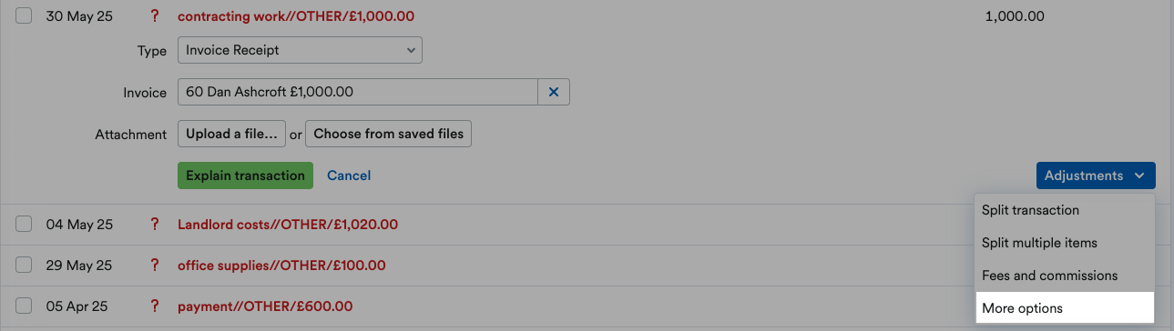 'More options' highlighted on Adjustments drop down menu.