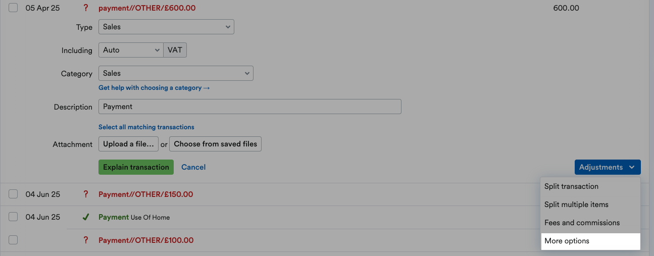 More options highlighted from the Adjustments drop-down menu