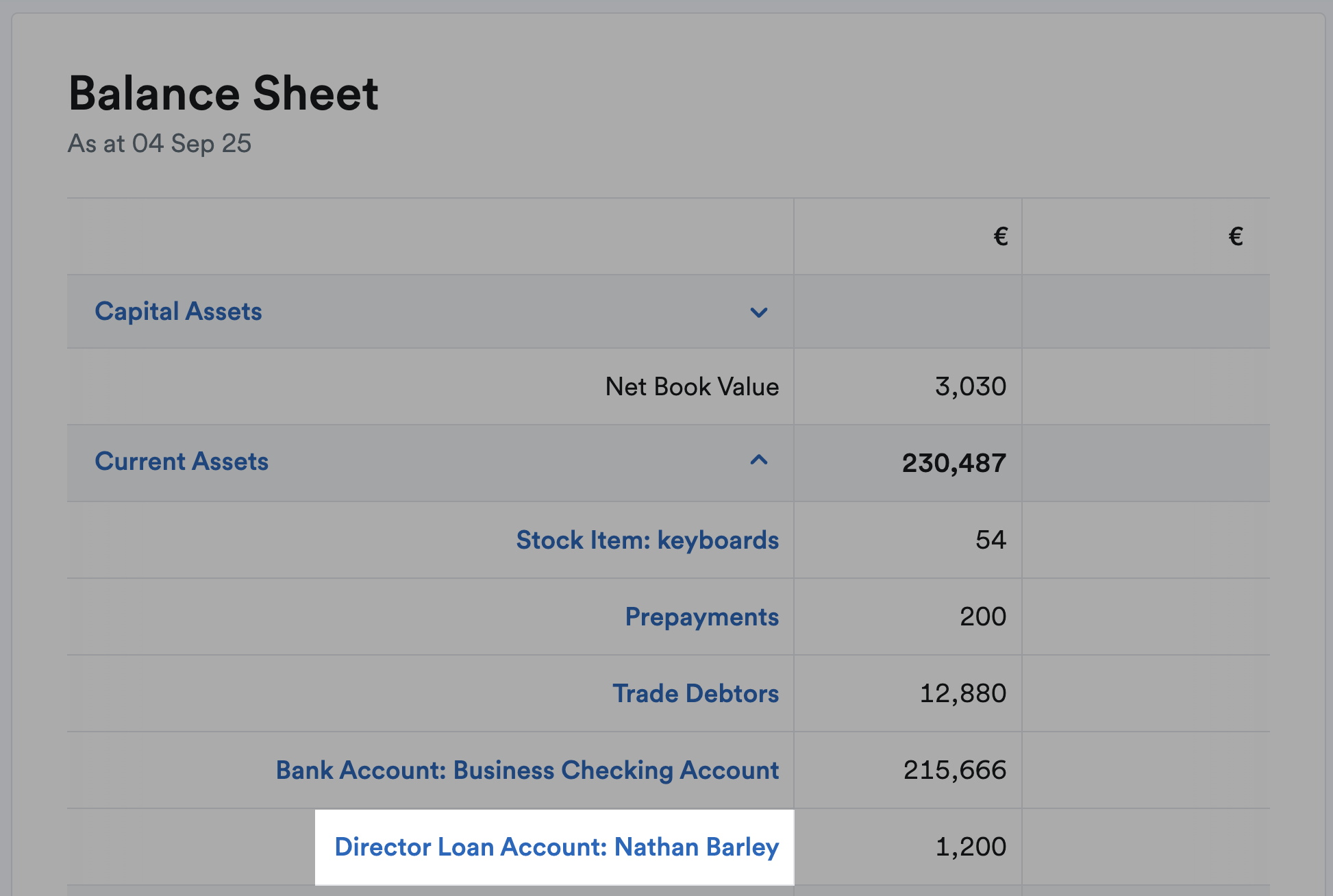 Director Loan Account transaction highlighted in the Balance Sheet report