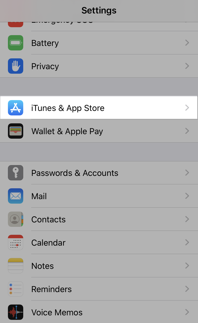 Settings screen on an iOS device