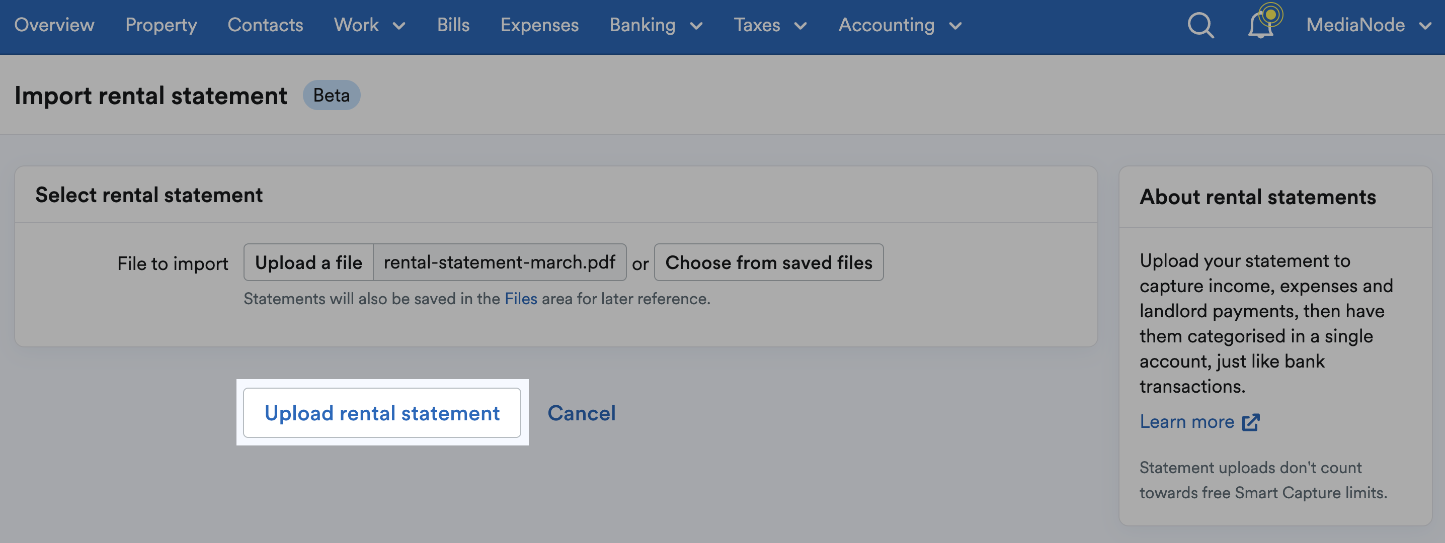 'Import rental statement' button highlighted at bottom of Import rental statement page.